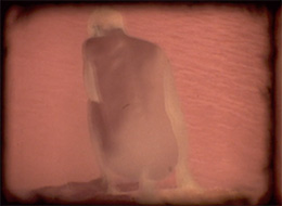 �i���L�b�\�X�̕ϐg�܂��͓��̏�̃^�}�l�M