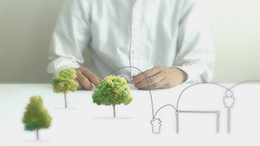 the outline of everything