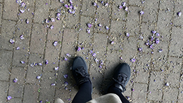 結婚しない水行十日陸行一月