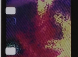 夏の記憶　FILM CANVAS