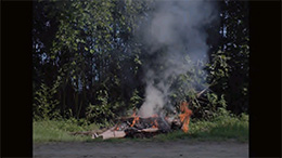 �e�Z�E�X�̎��E