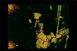 surface of memory, memory on surface