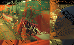 ���Ȃ��̐l���̓���