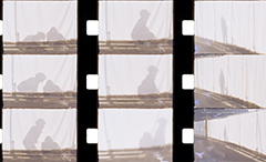 �H������̃X�N���[��