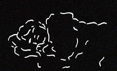 �f�[�g�E���[�r�[