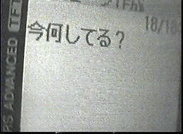 �莆