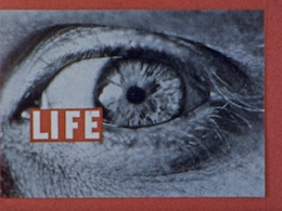Life, Life, Life