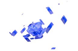 decompiled code for the embryo