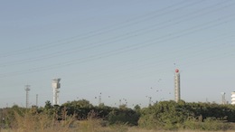 �P�O�N��̂Q�S�΂�