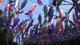 こわい夢見ない?こわいこと起きない?