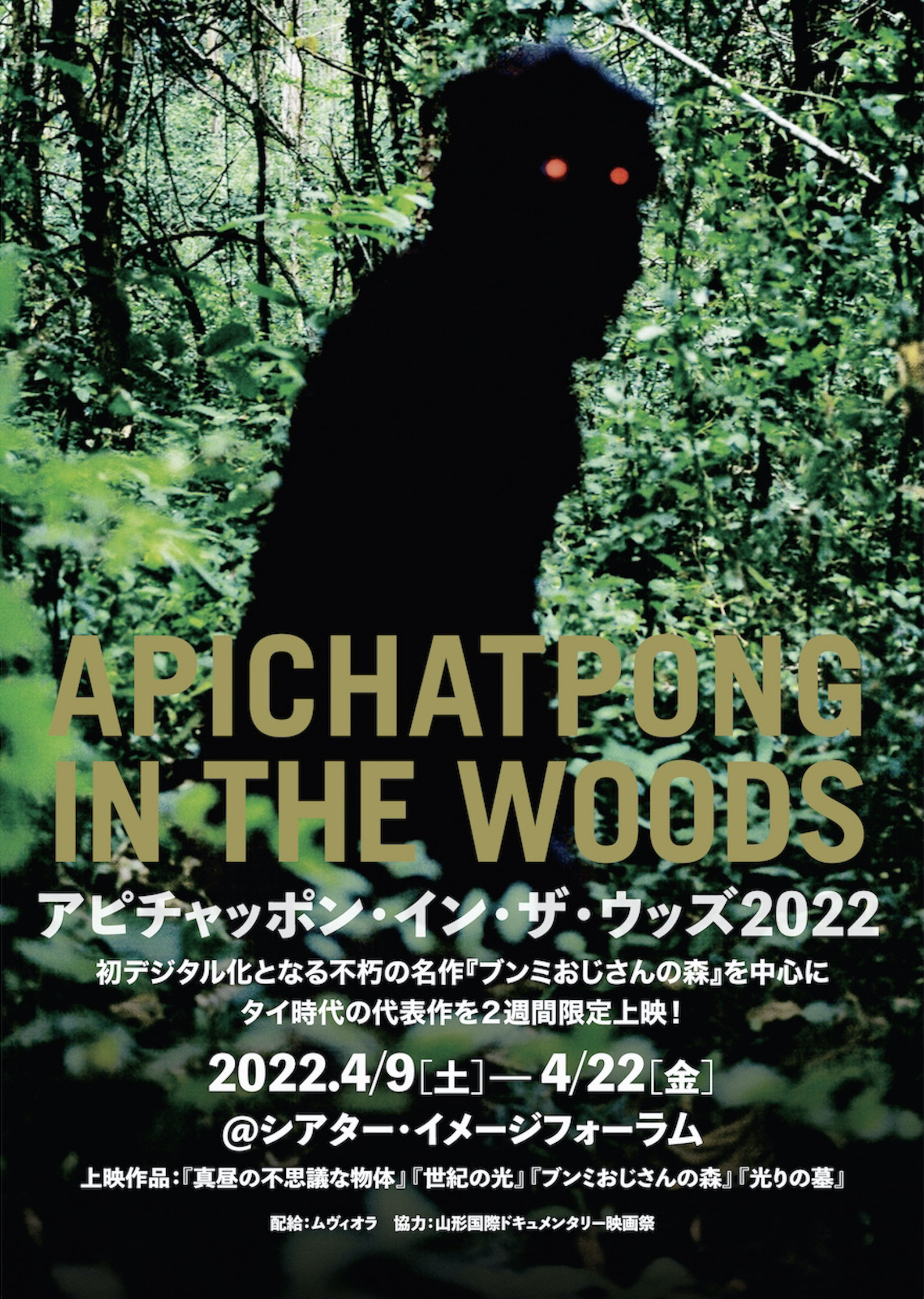 世紀の光 アピチャッポン・ウィーラセタクン DVD世紀の光 dvd